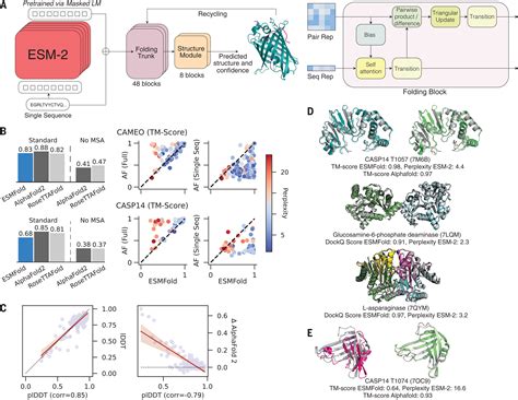 very hard protein modeling tests|protein model accuracy calculator.